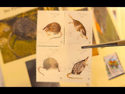Видео: Коллекция почтовых марок фауна - новые покупки - сентябрь 2025