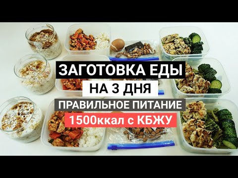 Видео: ЗАГОТОВКА ЕДЫ НА 3 ДНЯ | Рацион на 1500 кал с бжу для похудения |  Правильное питание MEAL PREP