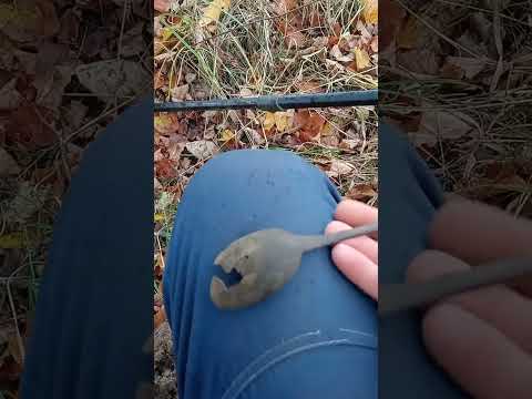 Видео: #metaldetecting #коп #осень #продолжения #