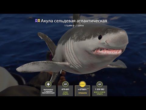 Видео: 🐠НОРВЕЖСКОЕ МОРЕ.ИЩЕМ КРУПНУЮ РЫБКУ🐬 РОЗЫГРЫШИ РУЛЕТОК🐾