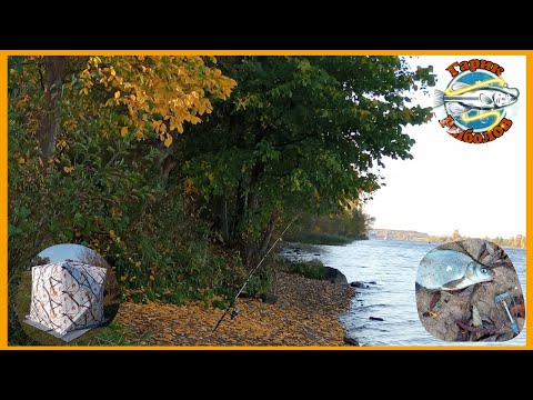 Видео: Рыбалка на донки в октябре и подготовка к зиме.