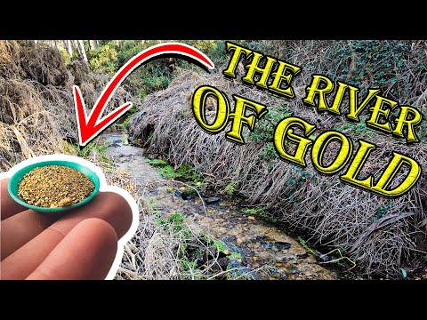 Видео: Никто не знал, что здесь есть золото!