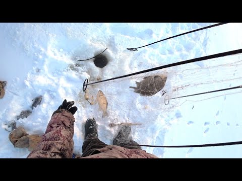 Видео: Сильные морозы нам не помеха. Наловили свежей рыбки на хапуги и тут же ее зажарили.