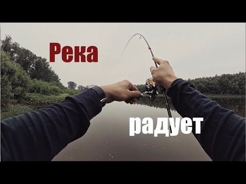Видео: Разноплановая рыбалка. Не только микроджиг