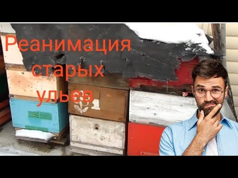 Видео: Ремонт старых ульев