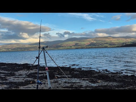 Видео: РЫБНАЯ АКТИВНОСТЬ / морская рыбалка в проливах Менай / рыбалка на штормовом пляже / рыбалка на Ан...
