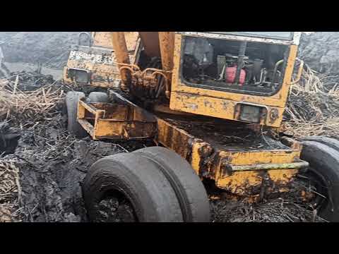 Видео: трешак на болоте