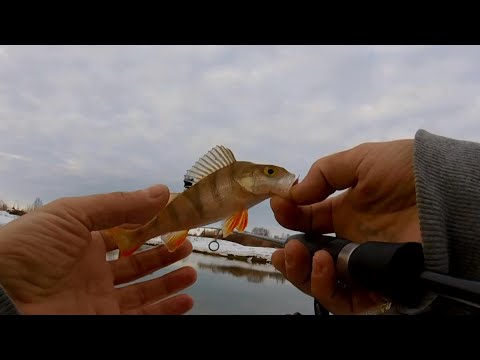 Видео: Млрмышинг Наноджишинг МАРТОВСКИЙ ОКУНЬ на спиннинг Mukai as 1632