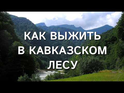 Видео: Как выжить в лесах Кавказа. Что делать, если заблудились, и что можно есть в лесу