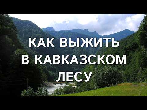 Видео: По закону гор: как выжить в лесах Кавказа