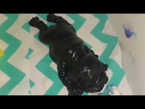 Видео: Обзор на домик сквиши собачек🎀