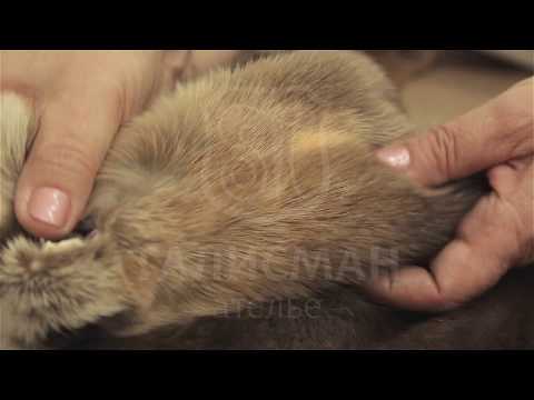 Видео: Пошив  шубы из соболя.