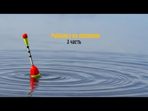 Видео: Рыбалка на поплавок *3 часть*