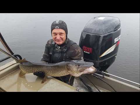 Видео: охота в октябре