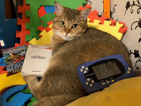 Видео: Нашел на дне коробки: Wonderswan