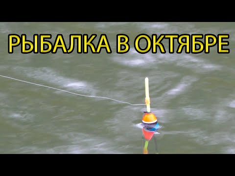 Видео: САМАЯ НЕРВНАЯ РЫБАЛКА!