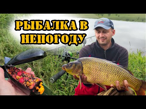 Видео: Рыбалка на карпа и толстолобика после нереста #рыбалка #fishing #carpfishing #feeder #лето2025 #carp