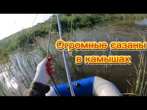 Видео: Огромные КАРАСИ И САЗАНЫ! на паук подъёмник! ели поднял на лодку