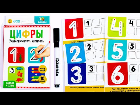 Видео: Развивающие Задания для Малышей - Учим Цифры!