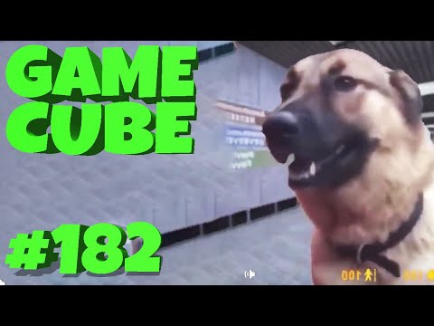 Видео: Game Cube #182 | Баги, приколы, фейлы | d4l
