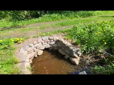 Видео: Чёрная Лахта, обзор земельного участка (купля-продажа 89616093018)