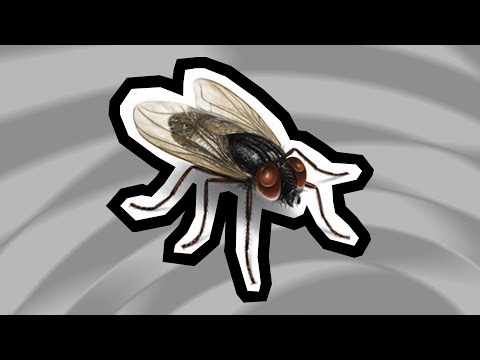 Видео: А МУХА ТОЖЕ ВЕРТОЛЕТ — ОТКУДА МЕМ? КТО АВТОР ПЕСНИ?