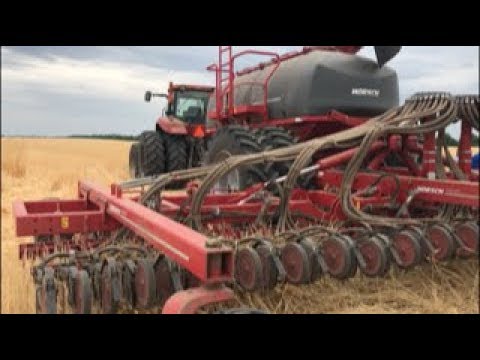 Видео: Отзыв о сеялке  HORSCH PRONTO NT