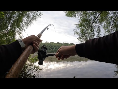 Видео: 🔺Фідер на ДЕСНІ🔺 Риболовля під вибухі 💥  Перший літній виїзд 2024☑️