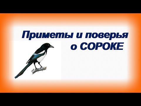 Видео: Народные приметы о сороке