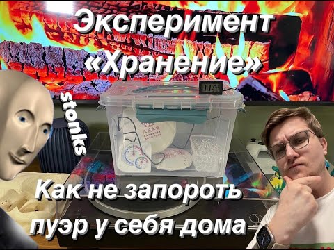 Видео: Хранение пуэра дома - эксперимент
