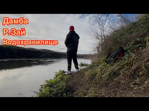 Видео: Рыбалка/Выходной/Очередные поиски хищника #2025#fishing#fashion 