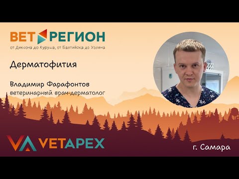 Видео: ВетРегион. Владимир Фарафонтов "Дерматофития"