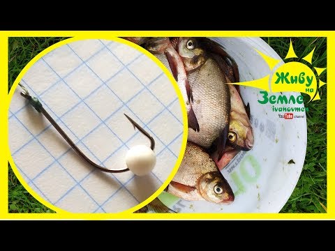 Видео: Рыба ловится на пенопласт! Рыбалка на донки Крокодил.