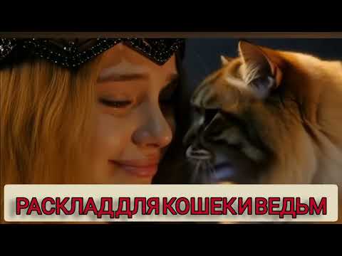 Видео: 💌💯💥💫Послание от Вселенной. ЧТО ОНА ПЫТАЕТСЯ ТЕБЕ СКАЗАТЬ? ТАРО