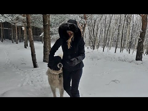 Видео: ЧАРЪТ НА ЗИМАТА В БЪЛГАРСКО, ПЛАНИНСКО  СЕЛО