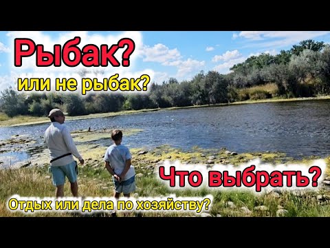 Видео: Магазины, уборка, дела по хозяйству в выходные? Или отдых и впечатления? Что выбрать?