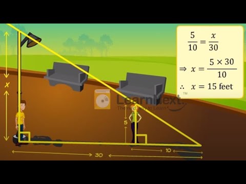 Видео: Үшбұрыштардың ұқсастығы, 9 сынып геометрия