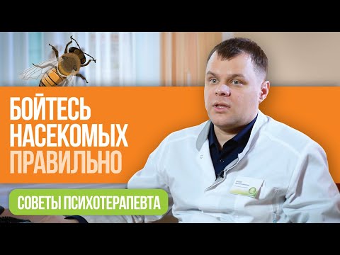 Видео: Бойтесь насекомых правильно! Фобии и психотерапия