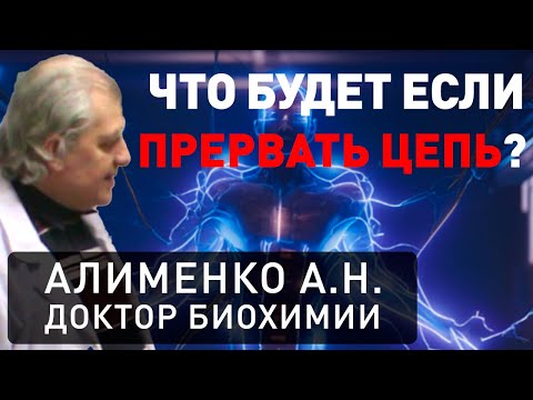 Видео: Электричество Внутри Нас (А.Н. Алименко)