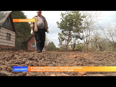 Видео: В Мордовии орудуют «чёрные копатели». Дачники остались без  огородов.
