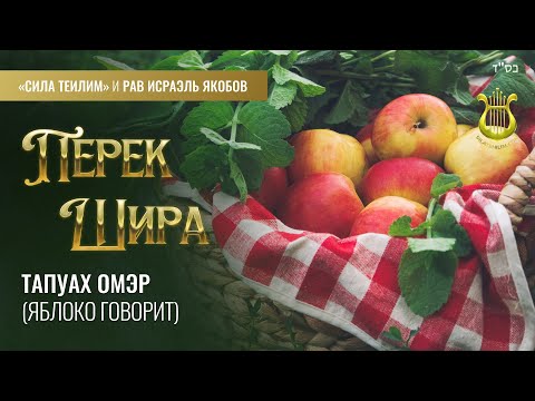 Видео: 🎻 ПЕРЕК ШИРА. Шират hа-Брия (Песнь Творения). Урок 28. Рав Исраэль Якобов