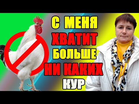 Видео: С меня хватит, больше никаких кур.