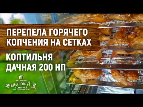 Видео: Перепела горячего копчения на сетках. Сетки и щуп для Коптильни ДАЧНАЯ 200 НП. Распаковка.