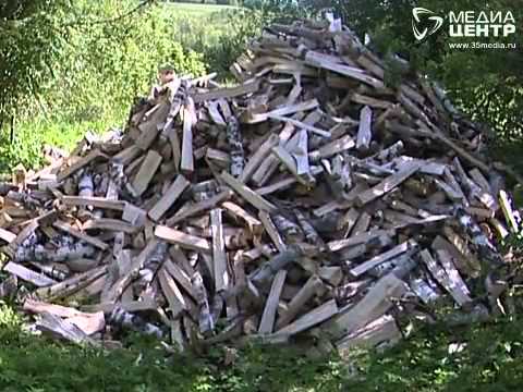 Видео: "Дорогой к людям": Угрюмово и Лохта