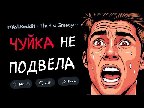 Видео: ЖУТКИЕ СЛУЧАИ, когда ЧУЙКА НЕ ПОДВЕЛА