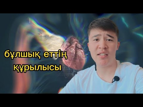 Видео: Бұлшық ет құрылысы