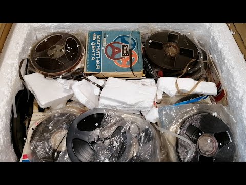 Видео: Вторая посылка из Купавны от Димы Мишенина
