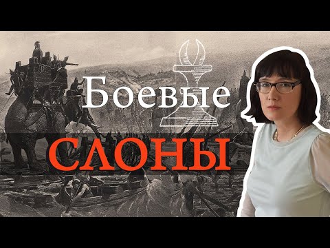 Видео: История слонов на поле брани и на шахматной доске