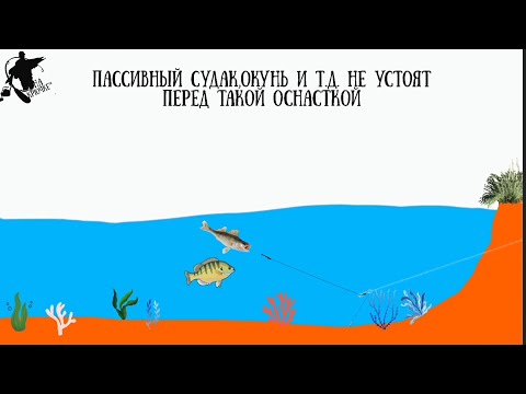 Видео: Лучшая оснастка на окуня,судака и т.д. Даже супер пассивный хищник не устоит🎣 Отводной поводок.