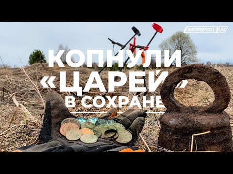 Видео: Залипуха монет и кладовой сохран с Minelab Equinox
